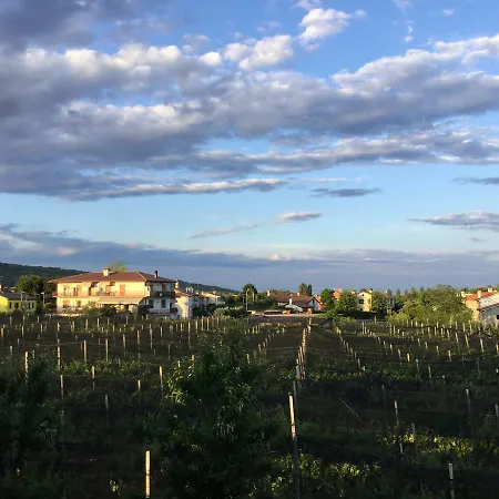 Hotel Grappolo D'oro 3*