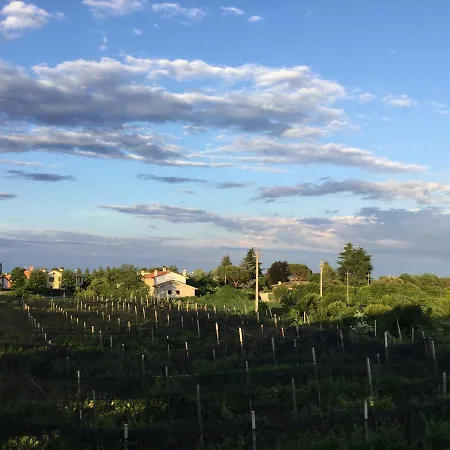 Grappolo D'oro Montebelluna