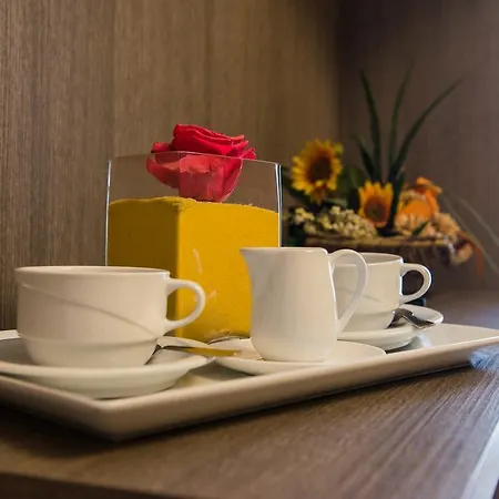 Hotel Grappolo D'oro Montebelluna