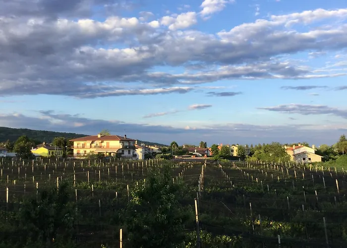 Hotel Grappolo D'oro 3*